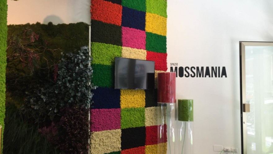 MOSSMANIA