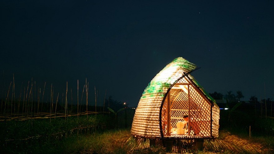 Bottle Seedling House