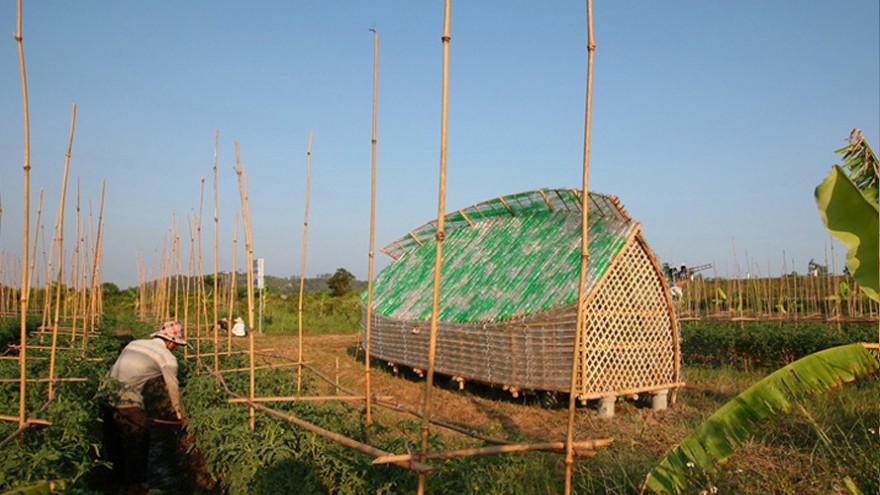 Bottle Seedling House