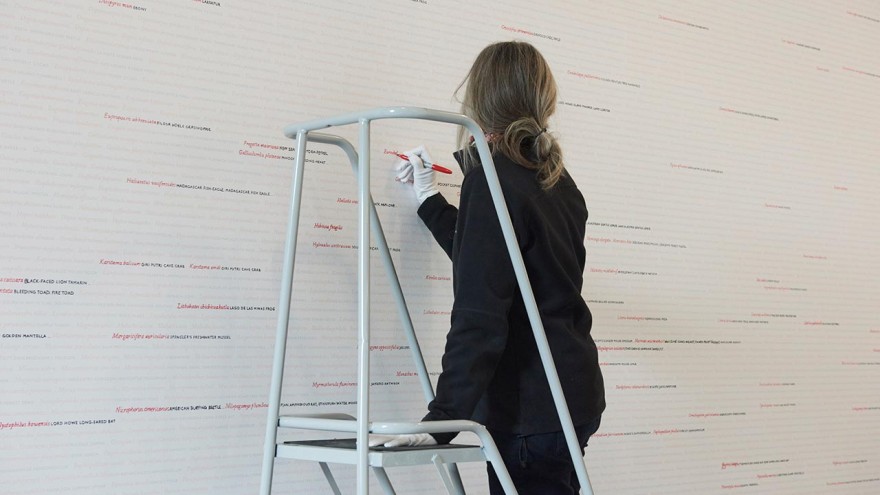 Visitors contribute to Seeing Red..Overdrawn by highlighting the names of species 