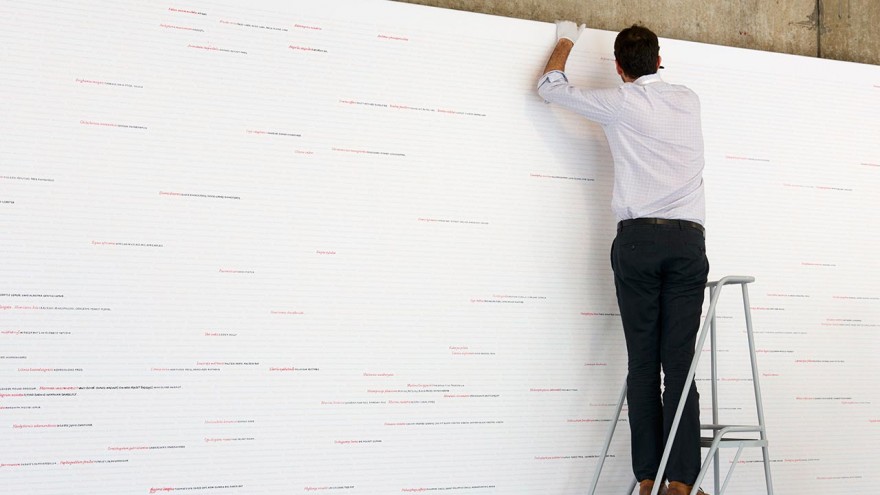 Visitors contribute to Seeing Red..Overdrawn by highlighting the names of species 
