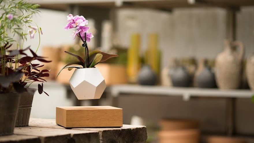 Lyfe's gentle rotation offers 360 degree exposure to sunlight