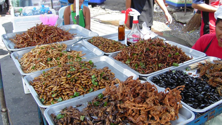 Insect food stall