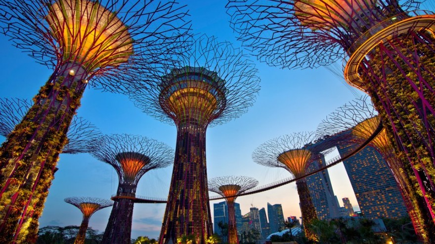 Singapore's supertrees