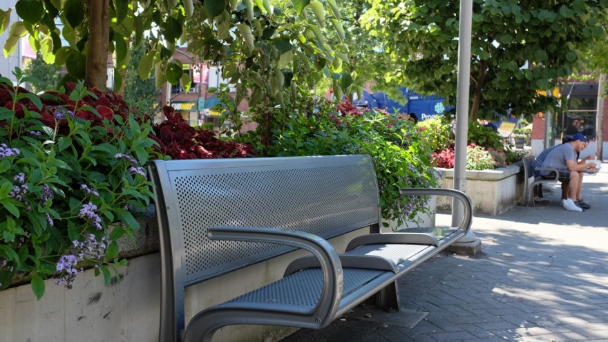 A divided public bench in Yaletown
