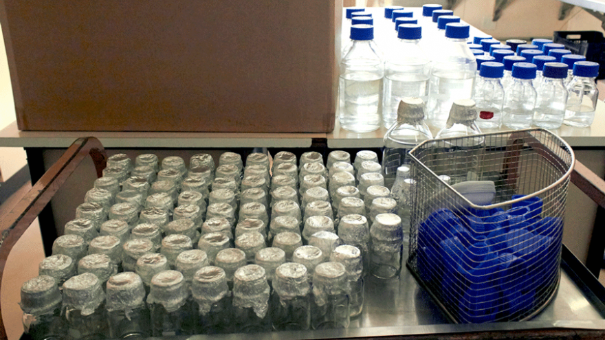 Picture Credit: Kathryn Smith. Description: Roodeplaat Research Laboratories. August 2014. 