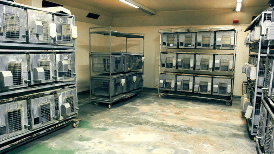 Picture Credit: Kathryn Smith. Description: Roodeplaat Research Laboratories. August 2014. 