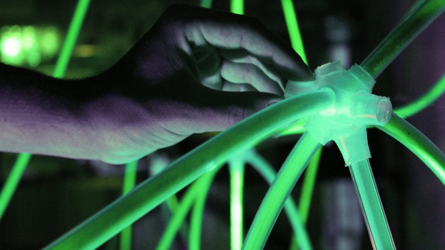 Biolux joint