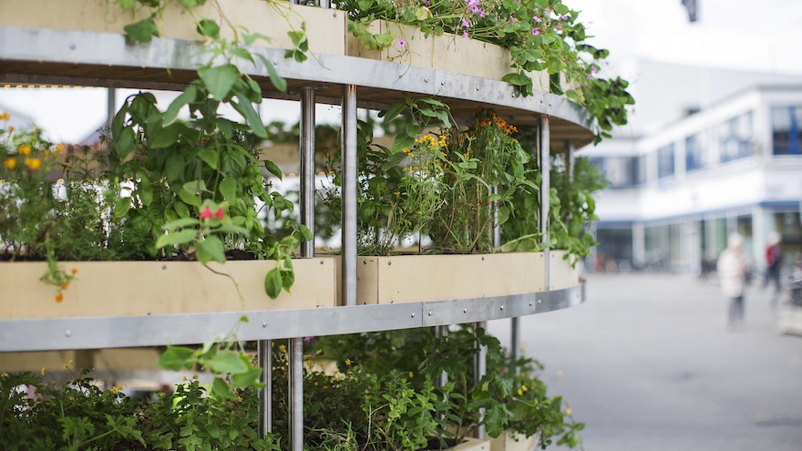 The Growroom by Space10. Image: Alona Vibe