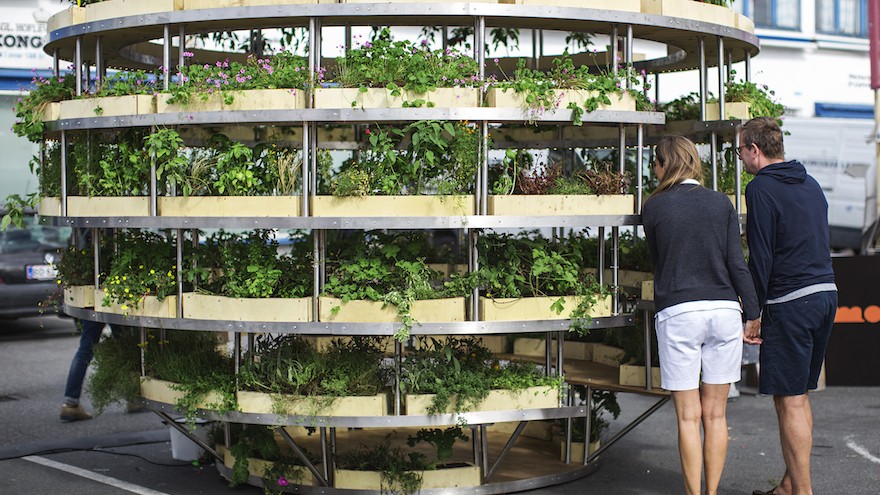The Growroom by Space10. Image: Alona Vibe