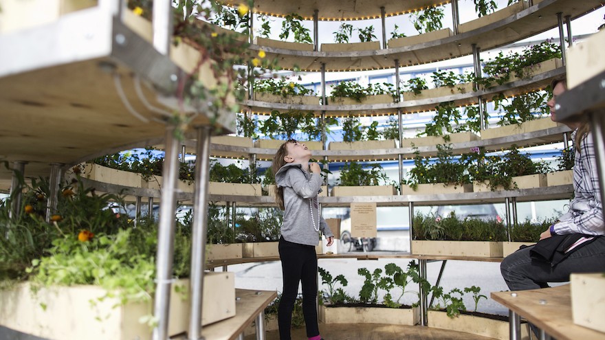 The Growroom by Space10. Image: Alona Vibe