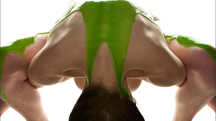 Fluid & Form