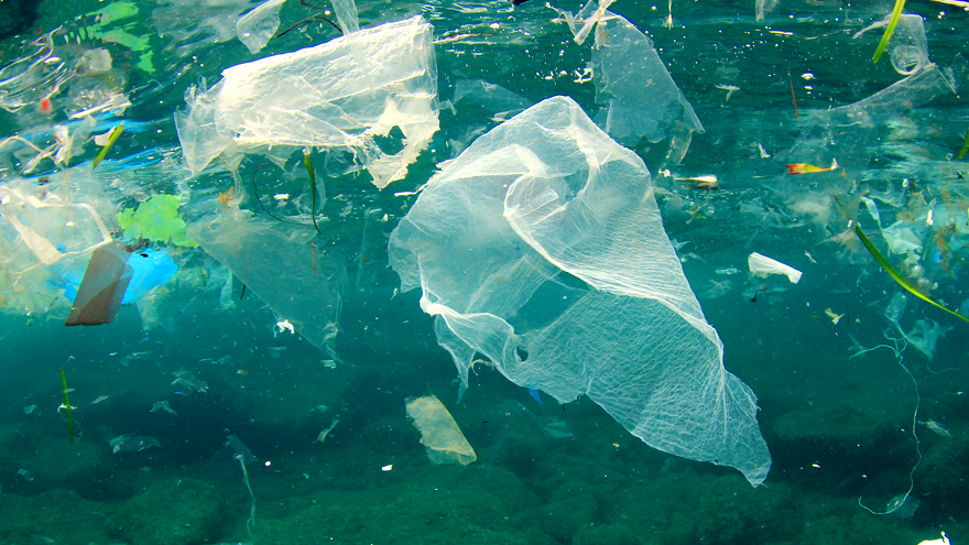 Plastic waste in the Pacific Ocean