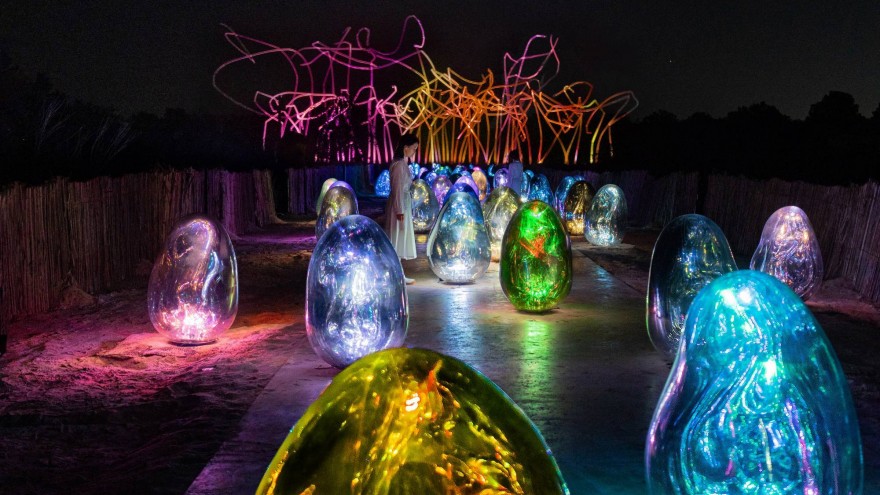 Photographs: TeamLab