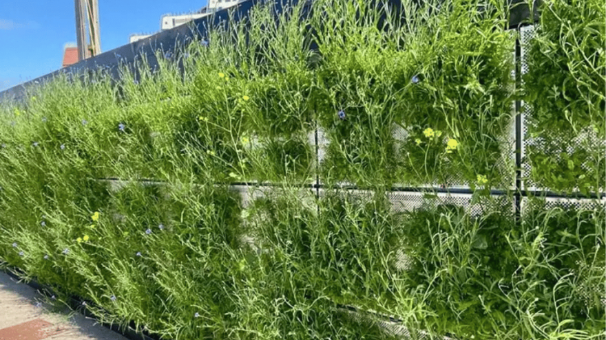 Image: Vertical Meadows website