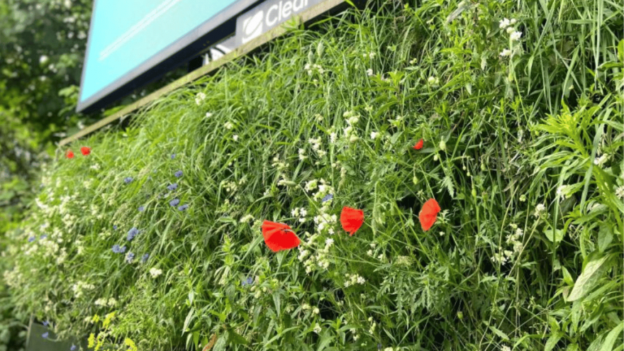 Image: Vertical Meadows website