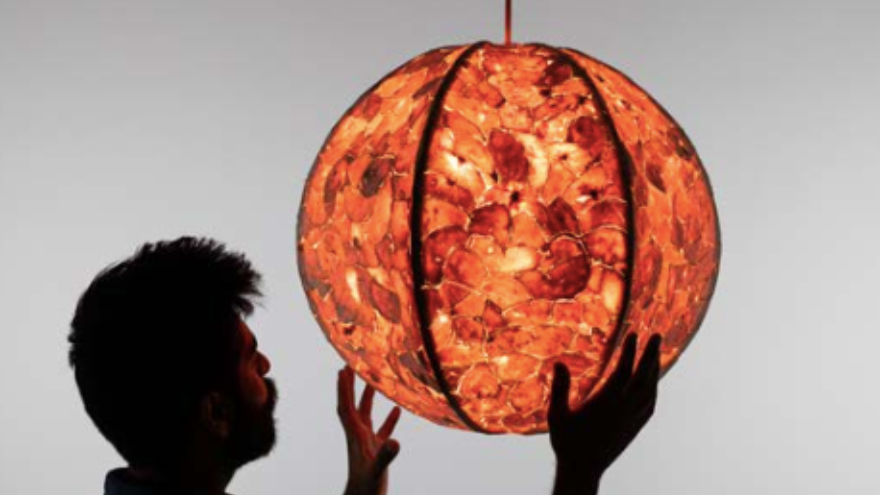 image sourced: Alkesh Parmar portfolio 
