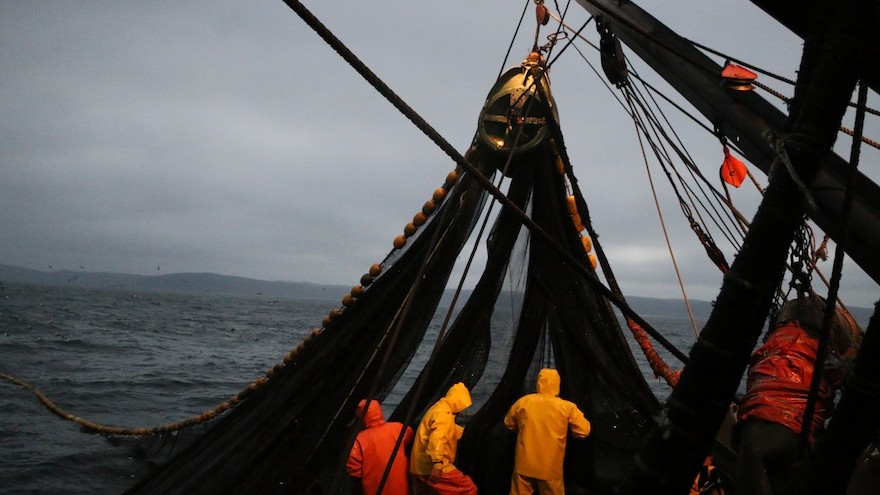 The team behind Bureo skateboards is working with fishing communities to upcycle discarded nets.