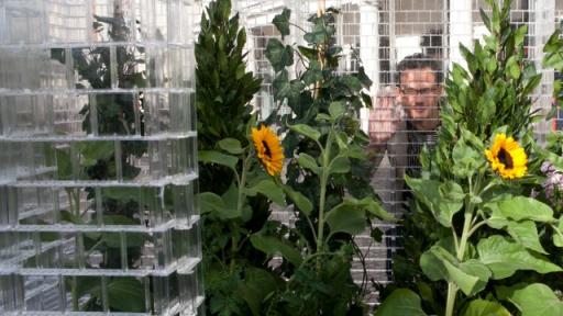 Lego Greenhouse. 