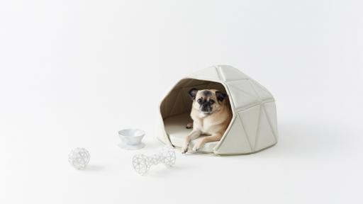 Heads or Tails by Nendo