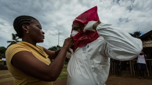Fighting Ebola: Grand Challenge for Development.