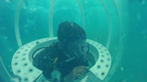Italian scuba-diving father and son have found a way to grow fresh food nearly 10 metres underwater in the sea