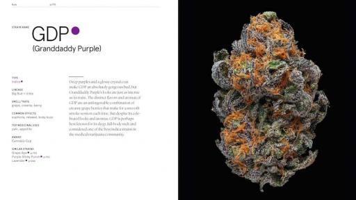 Green: A Field Guide to Marijuana details over 150 strains 