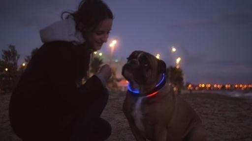 The LED lighting ensures pet safety.