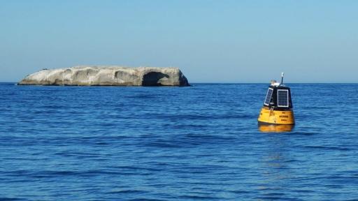 South African Dirk Muller designed a prototype buoy that could help scientists track the condition of the country's coastal waters