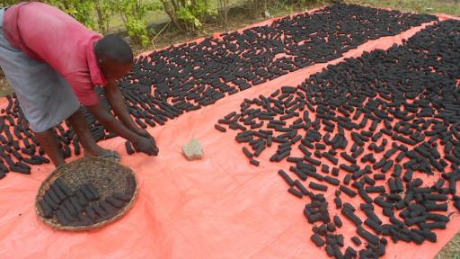 Ugandan Betty Ikalany founded AEST Ltd in order to help women in her community have access to clean cooking fuel