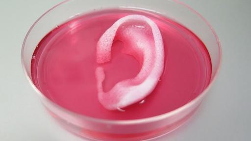 3D bioprinting