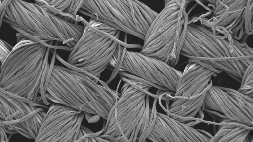 Researchers are developing textiles that clean themselves. 