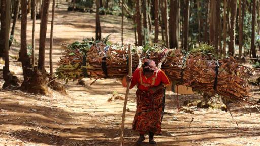 Martha Tadesse captures Ethiopian wood carriers 
