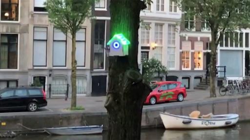 TreeWiFi