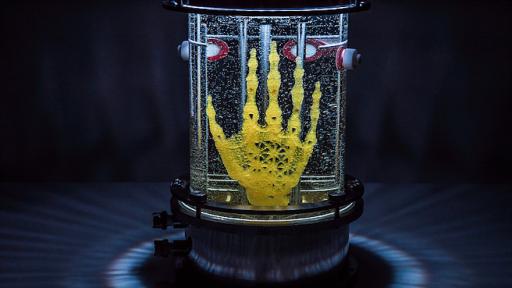 Artist Amy Karle’s Regenerative Reliquary is an open-source biotech project showcasing a human hand grown out of stem cells
