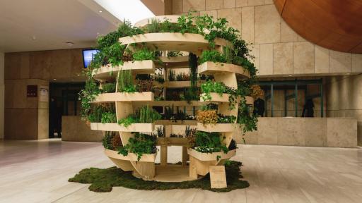 Growroom: Image Alona Vibe