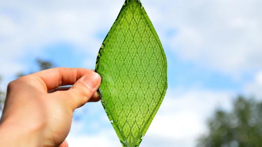 BioSolar Leaf, Arborea
