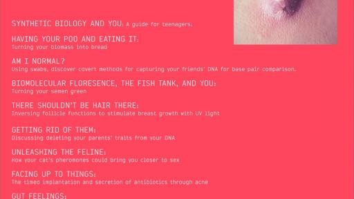 Bedroom Biology for Teenagers by Dearbhaile Heaney.