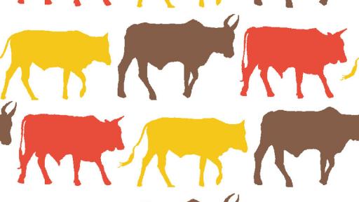 Transkei Cows - textile design. 