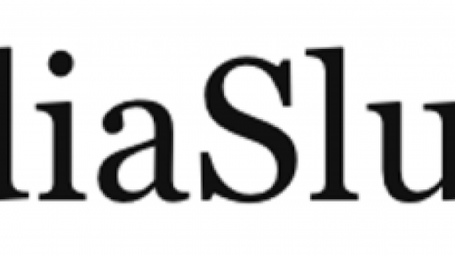 MediaSlutZA