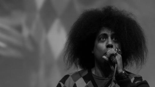 Reggie Watts