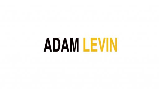 Adam Levin on South African fashion