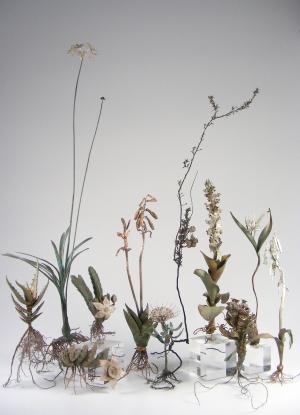 Nic Bladen Botanicals Nic Bladen Botanicals