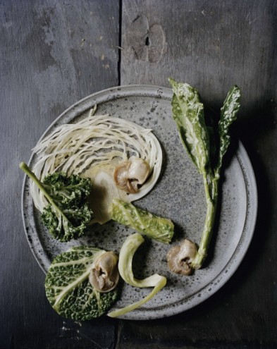 Winter cabbage and winter oysters. From Noma: Time and Place in Nordic Cuisine. Photo by Ditte Isager. Courtesy of Phaidon Press, www.phaidon.com