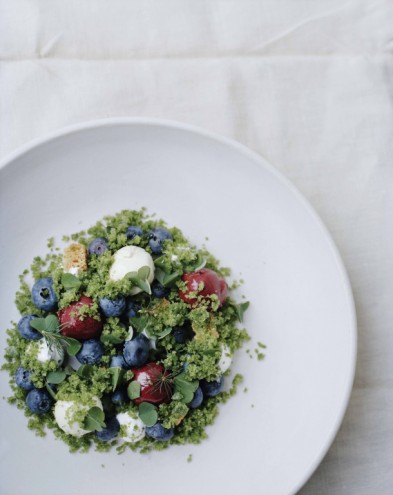 Blueberries surrounded by their natural environment. From Noma: Time and Place in Nordic Cuisine. Photo by Ditte Isager. Courtesy of Phaidon Press, www.phaidon.com