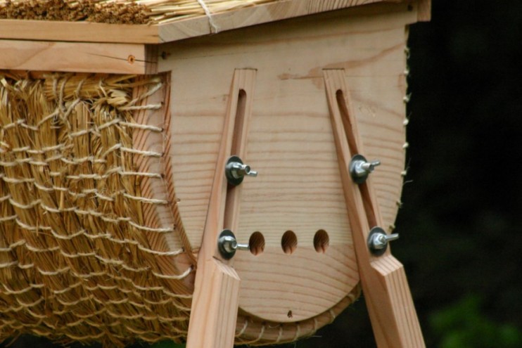 Thrive Hive by Tom Back. 