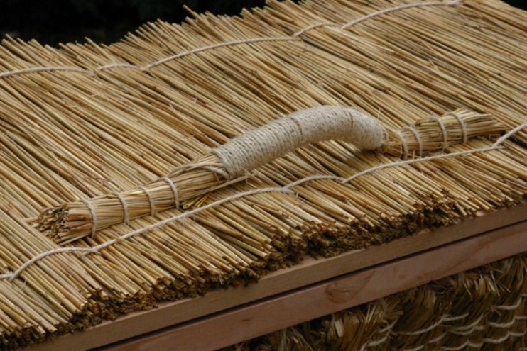 Thrive Hive by Tom Back. 