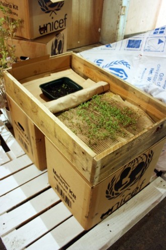 Growing seeds in cardboard. 