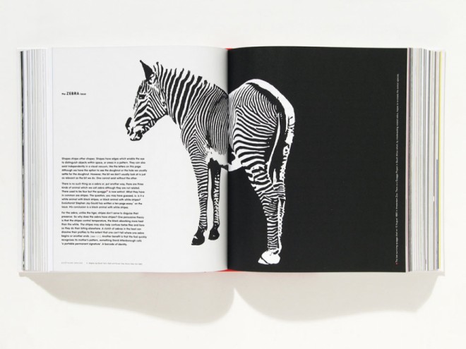 The Art of Looking Sideways by Alan Fletcher. Published by Phaidon. 