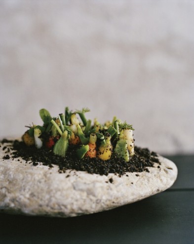 Vegetable field from Noma: Time and Place in Nordic Cuisine (Phaidon Press). Photo by Ditte Isager.